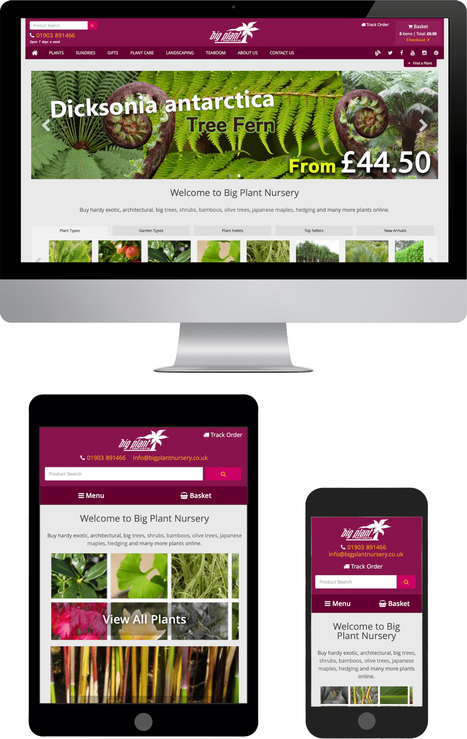 Ecommerce Responsive Website Design Sussex